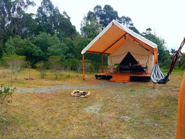 GLAMPING Safari