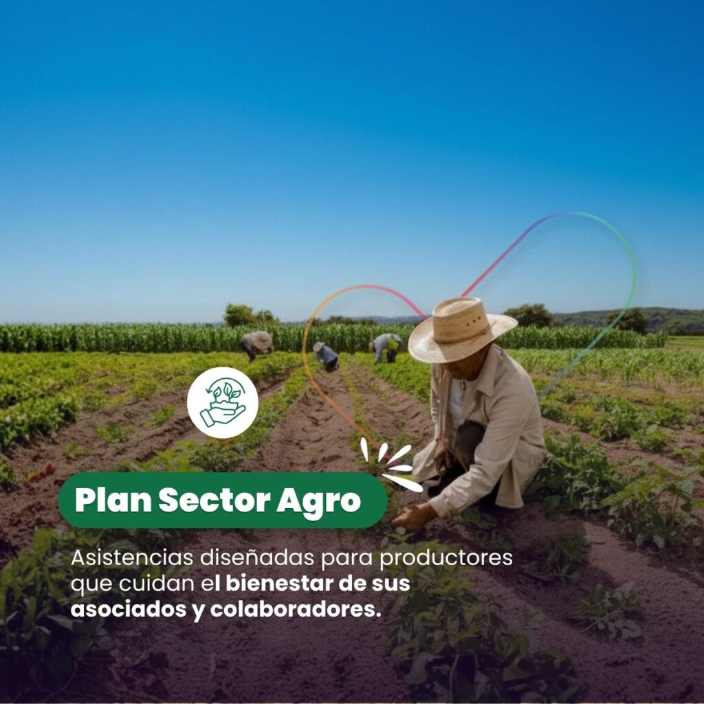 Plan Sector Agro
