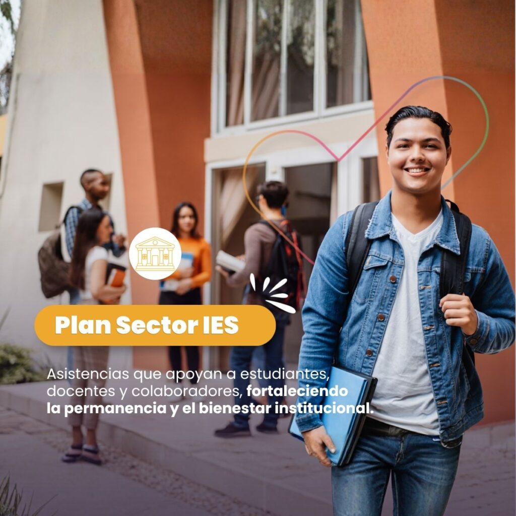 Plan Sector IES