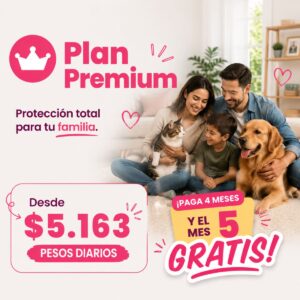 Plan Estándar Premium