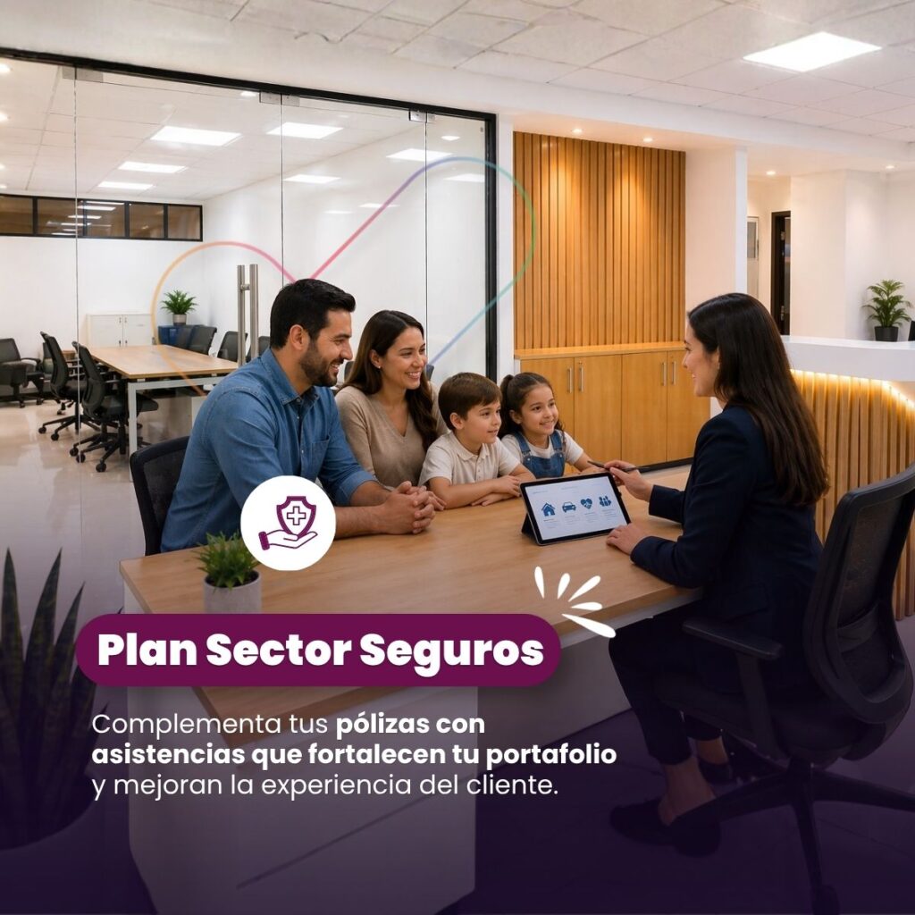 Plan Sector Seguros