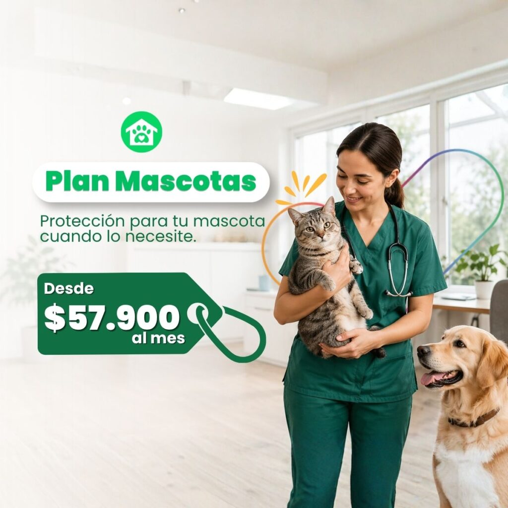 Plan Mascotas