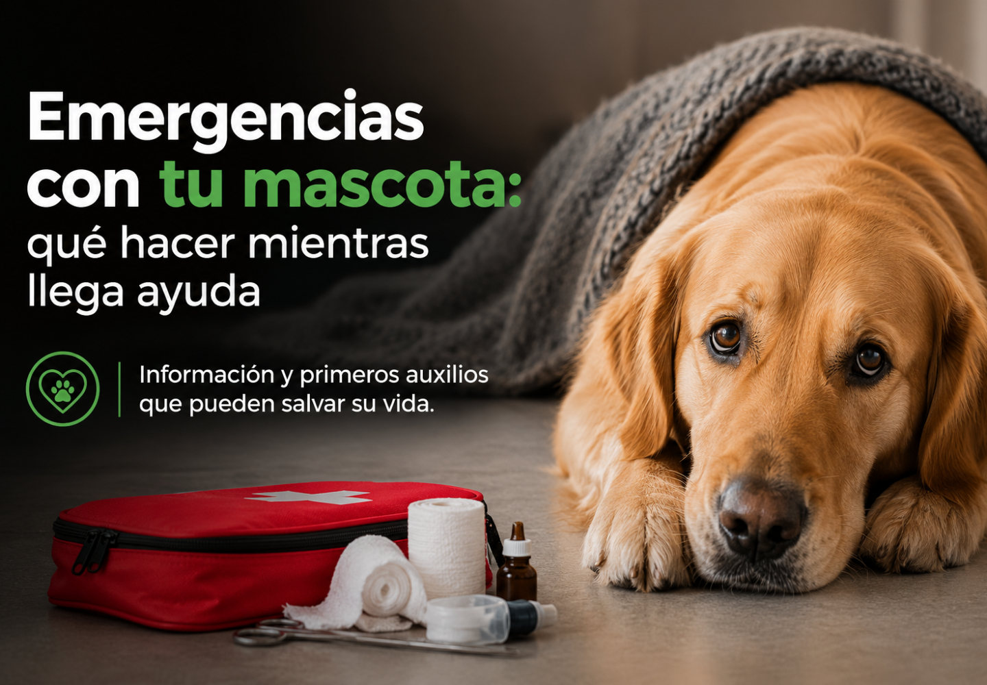 Mascotas
